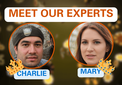 About Our Experts